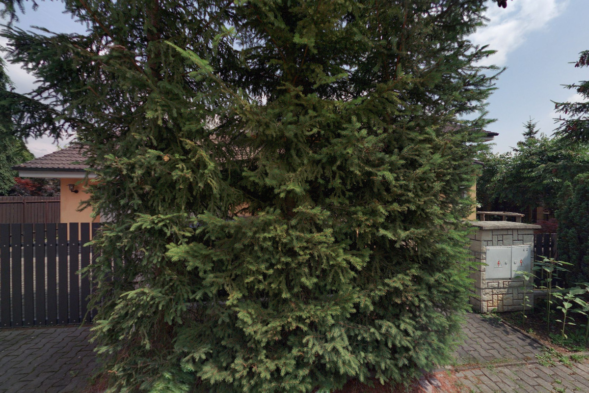 GAMBIT music & agency