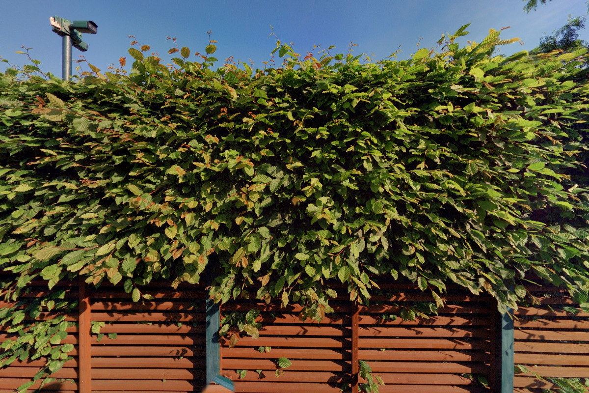 Mgr. Zuzana Michalová