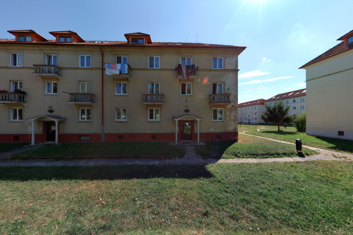 Drahomíra Holubová