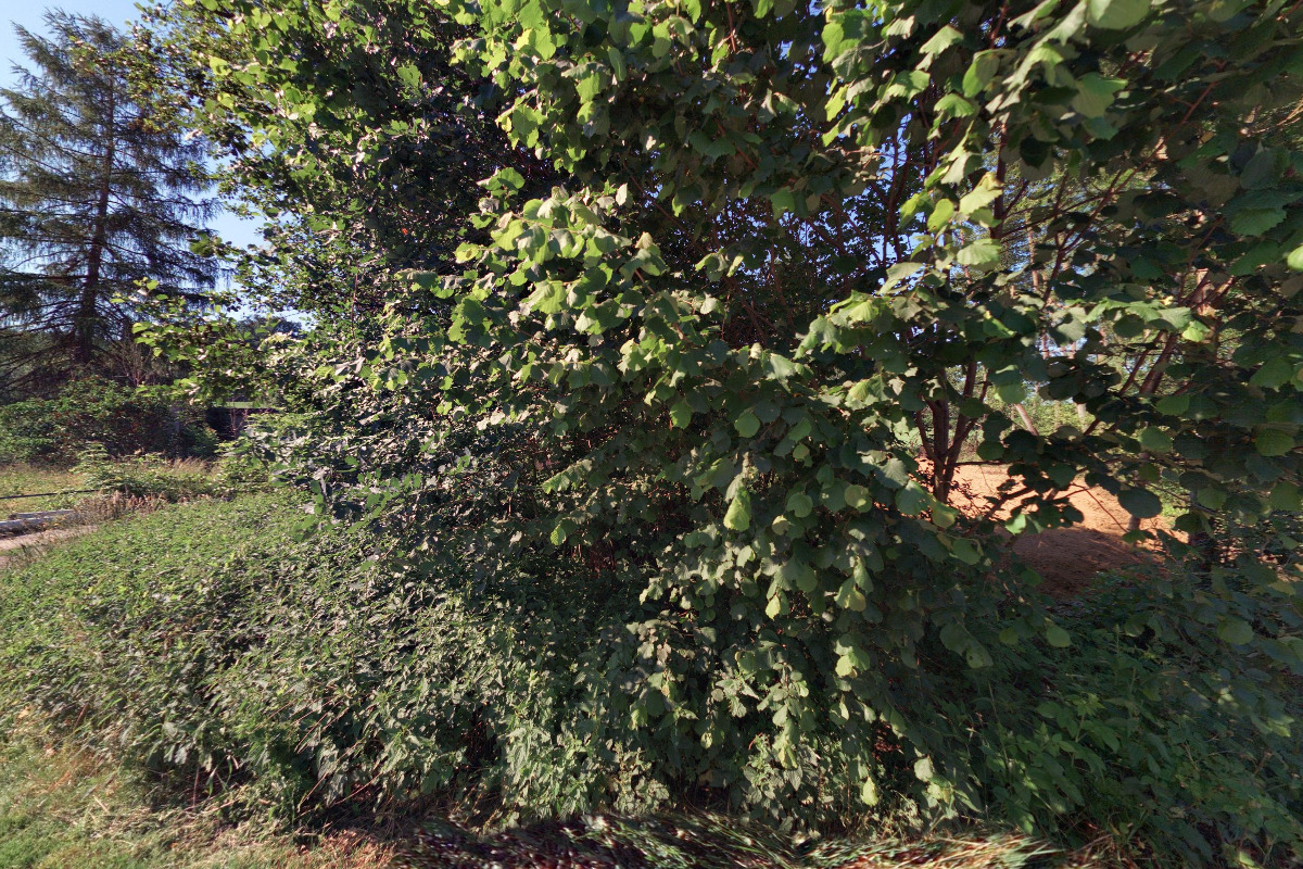 Základní organizace Českého zahrádkářského svazu Čerčany