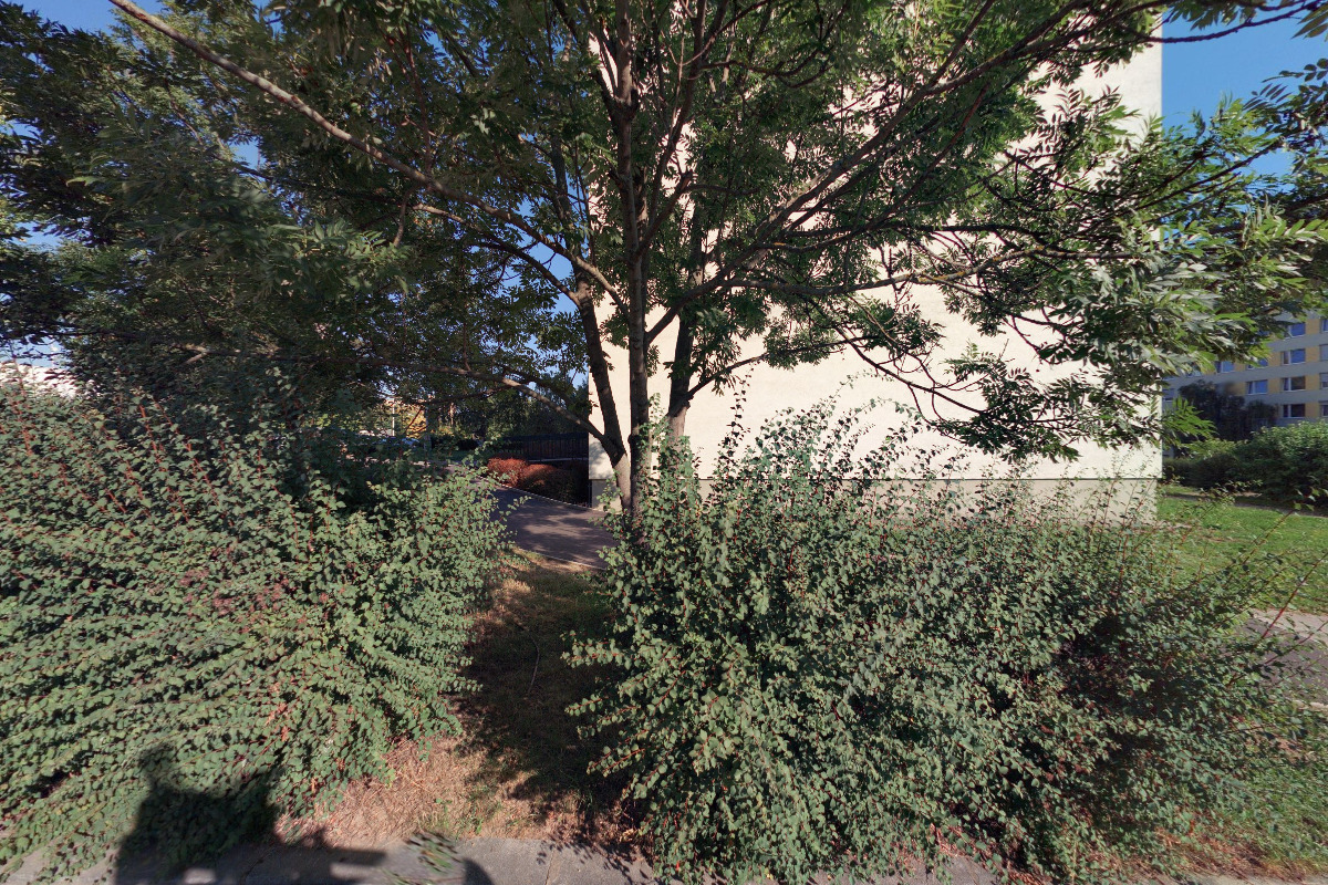 Join New Spirit AllStars foto 2