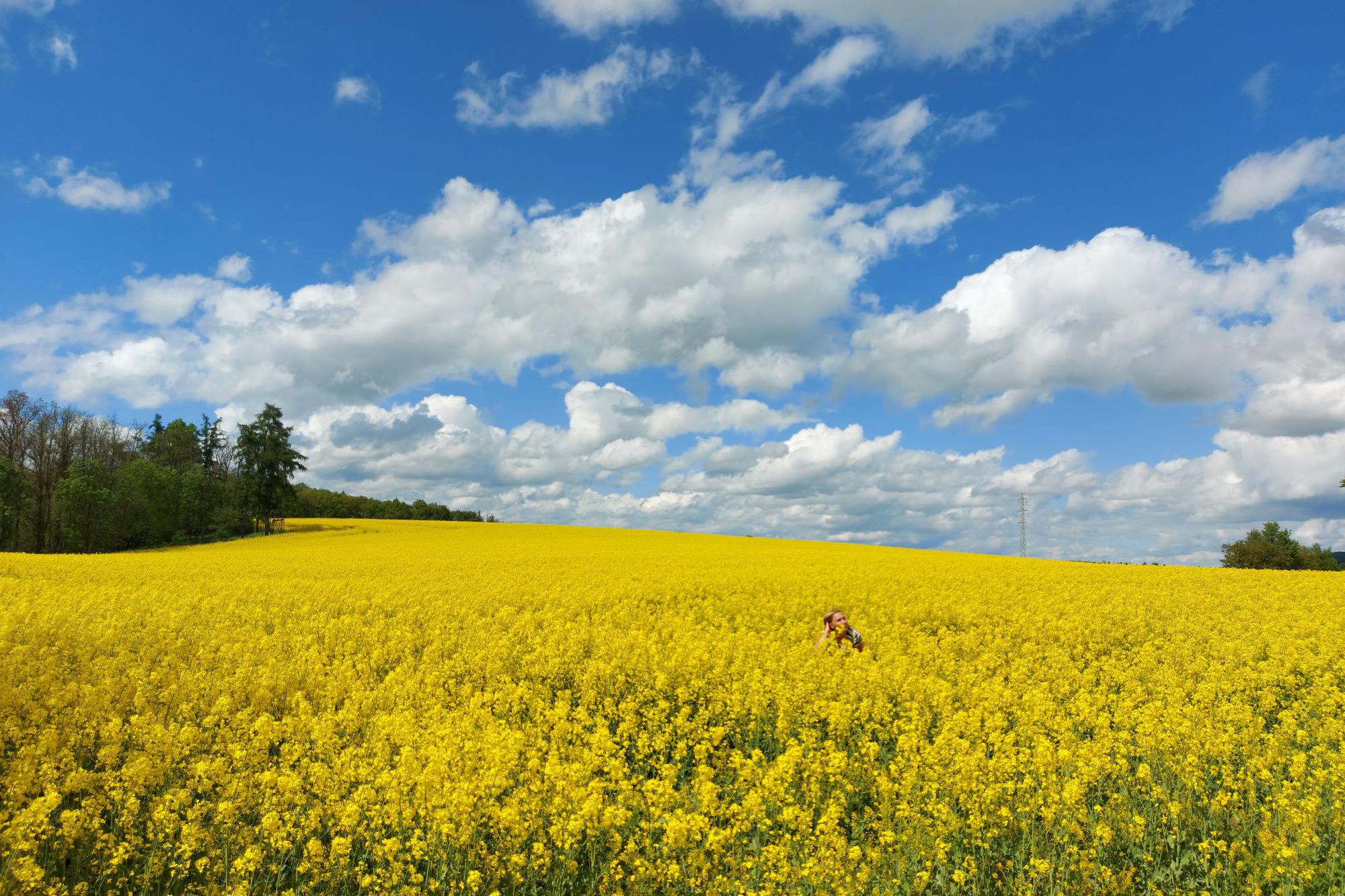 POBYTY nejen NA MORAVĚ
