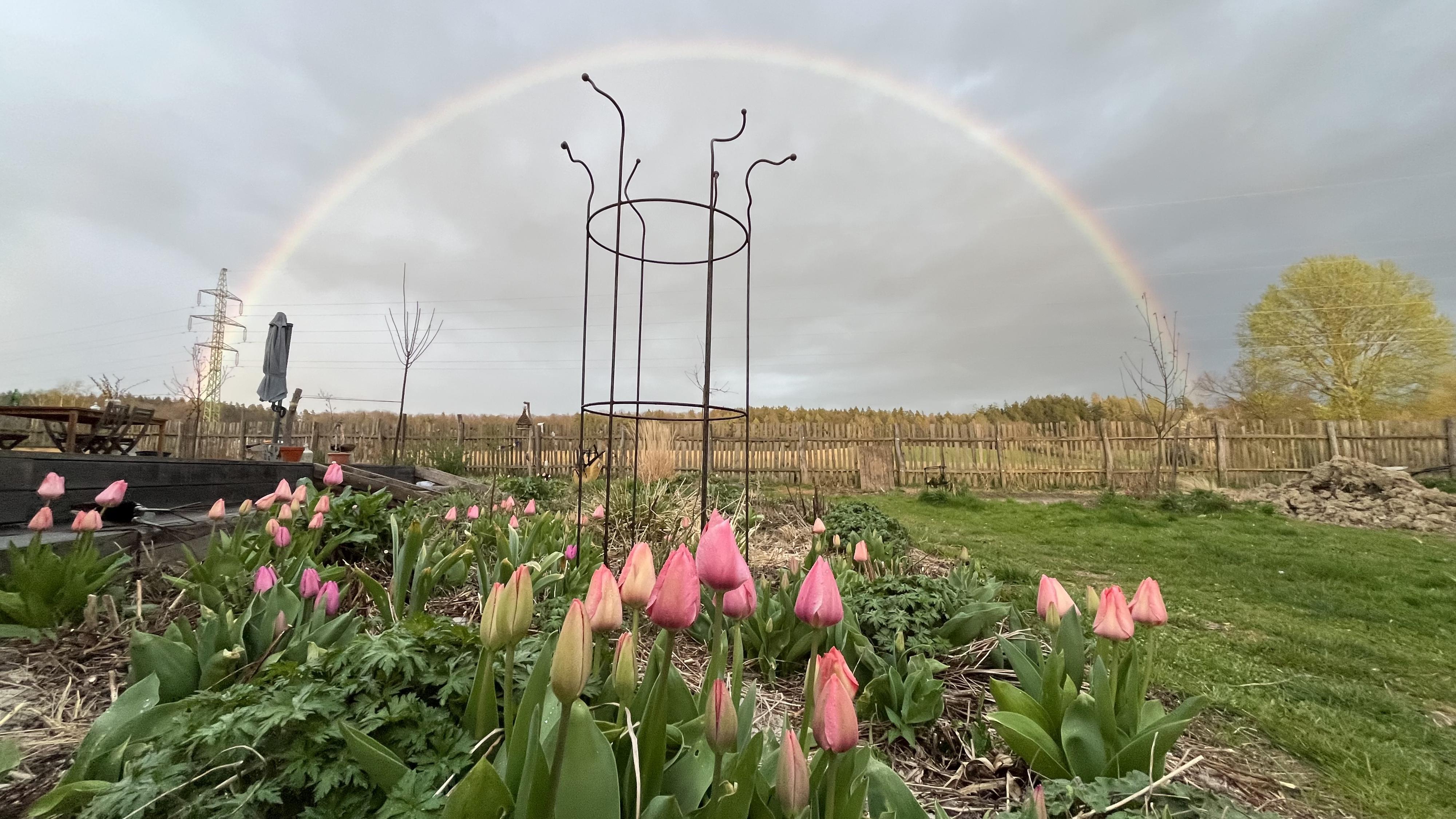 Beryvzahrade - Eva Beránková foto 3