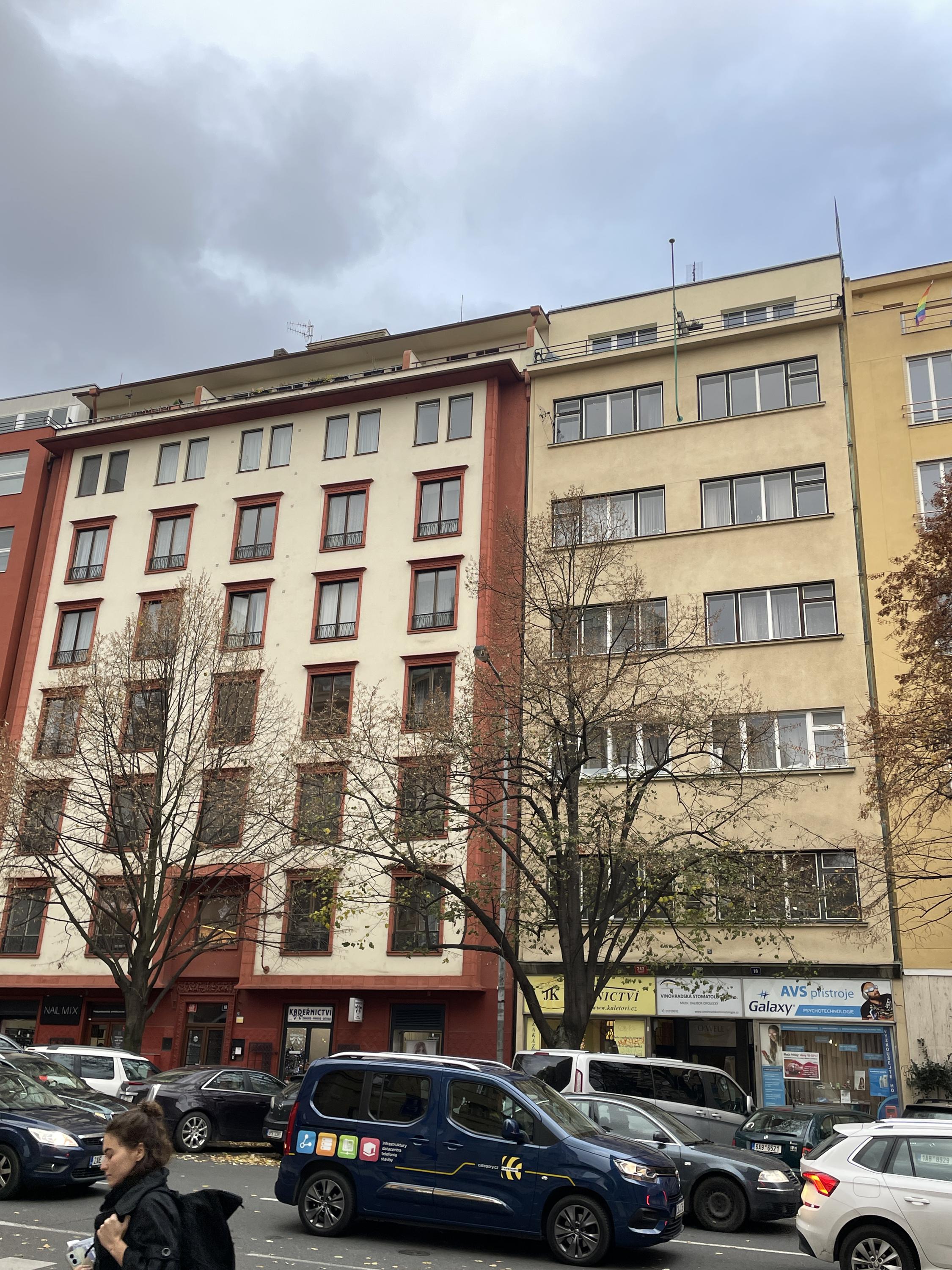 MUDr. Dalibor Opolecký foto 1