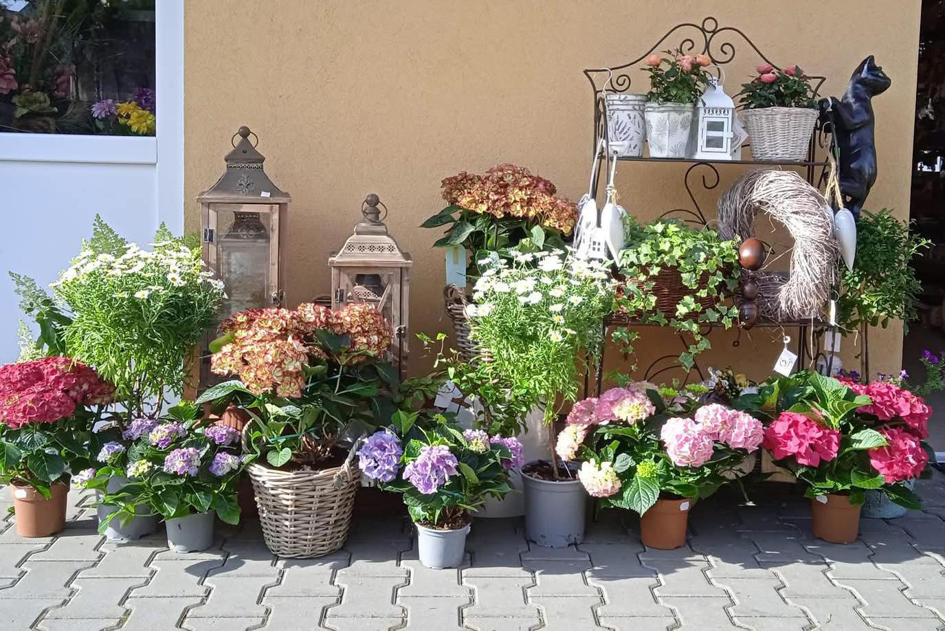 Květinářství Šafrán