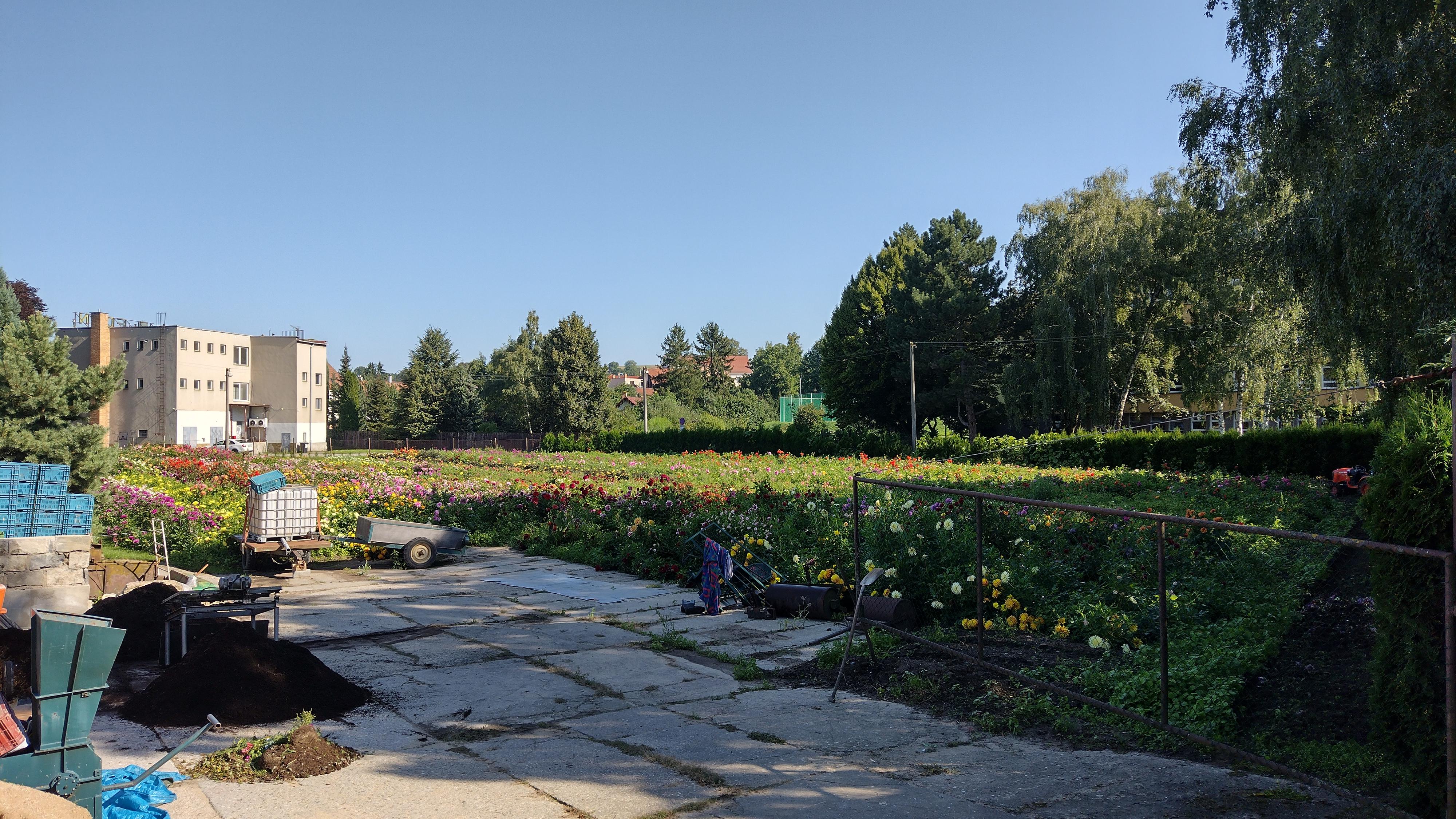 Langrovo zahradnictví foto 3