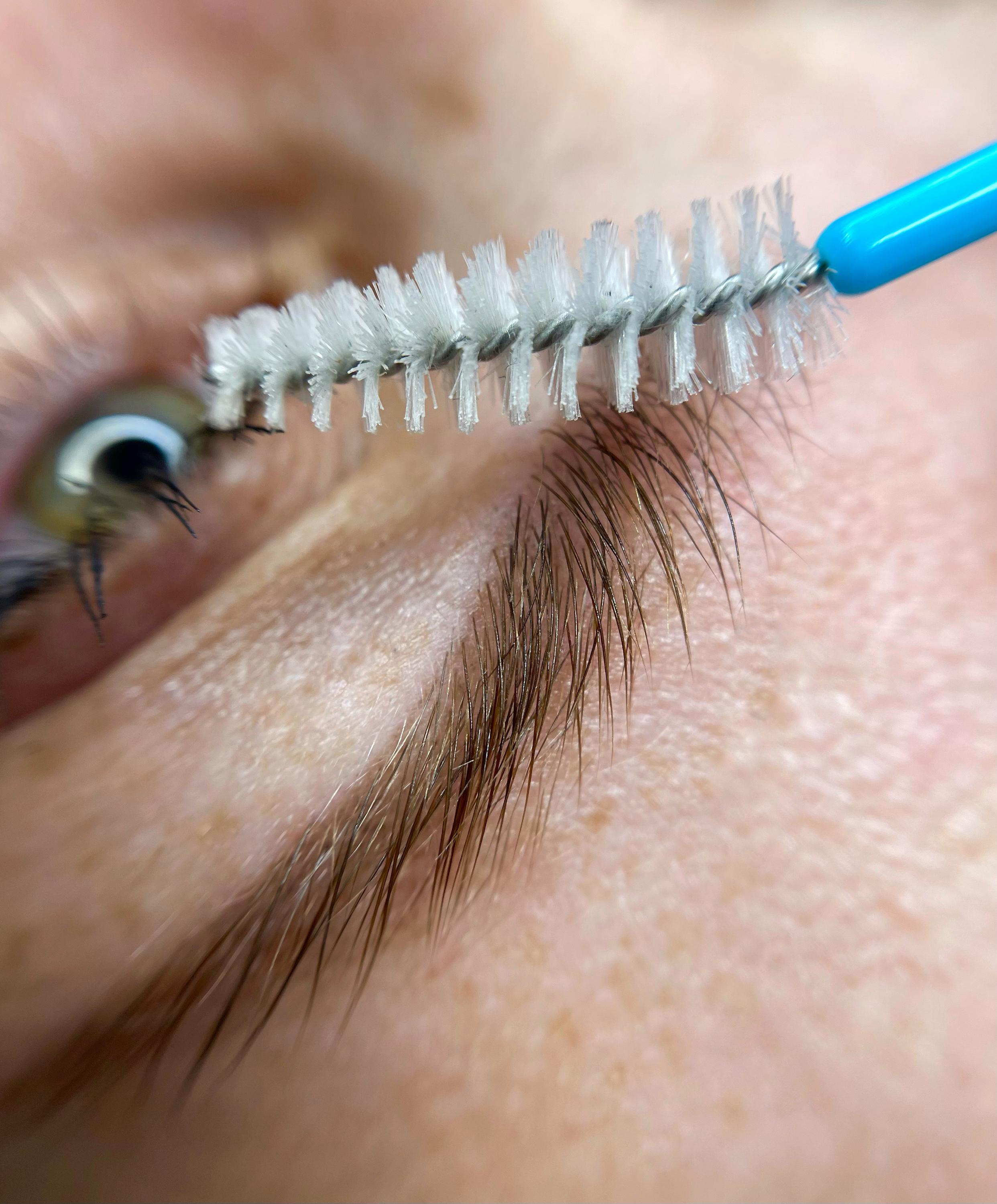 THE BROWS foto 2