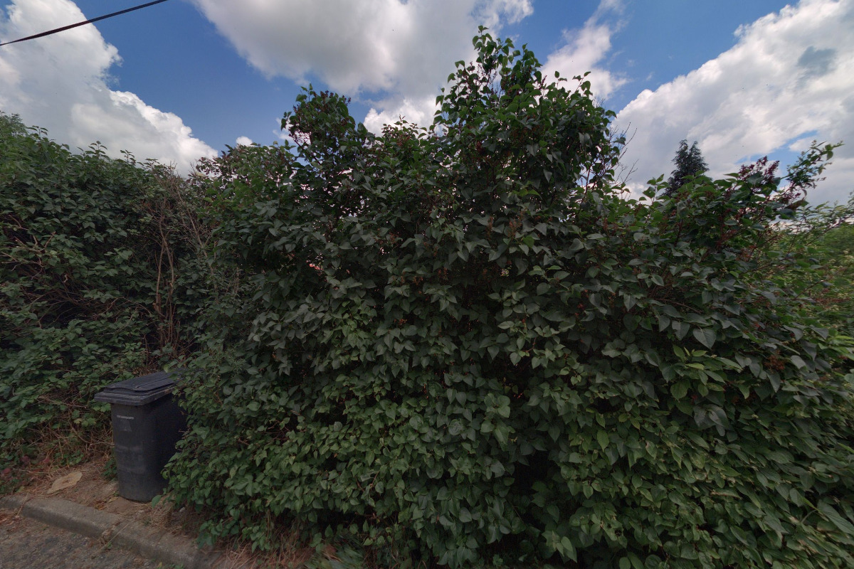 Němčičky - obecní úřad