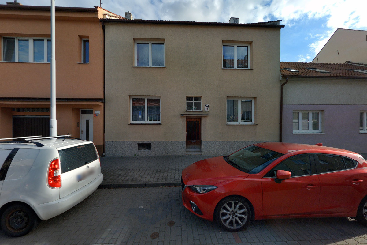 Základní článek hnutí Brontosaurus Orchis foto 2