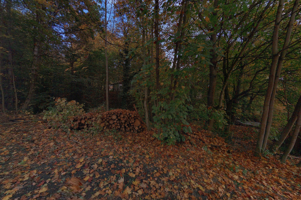 Církev adventistů sedmého dne - knihovna