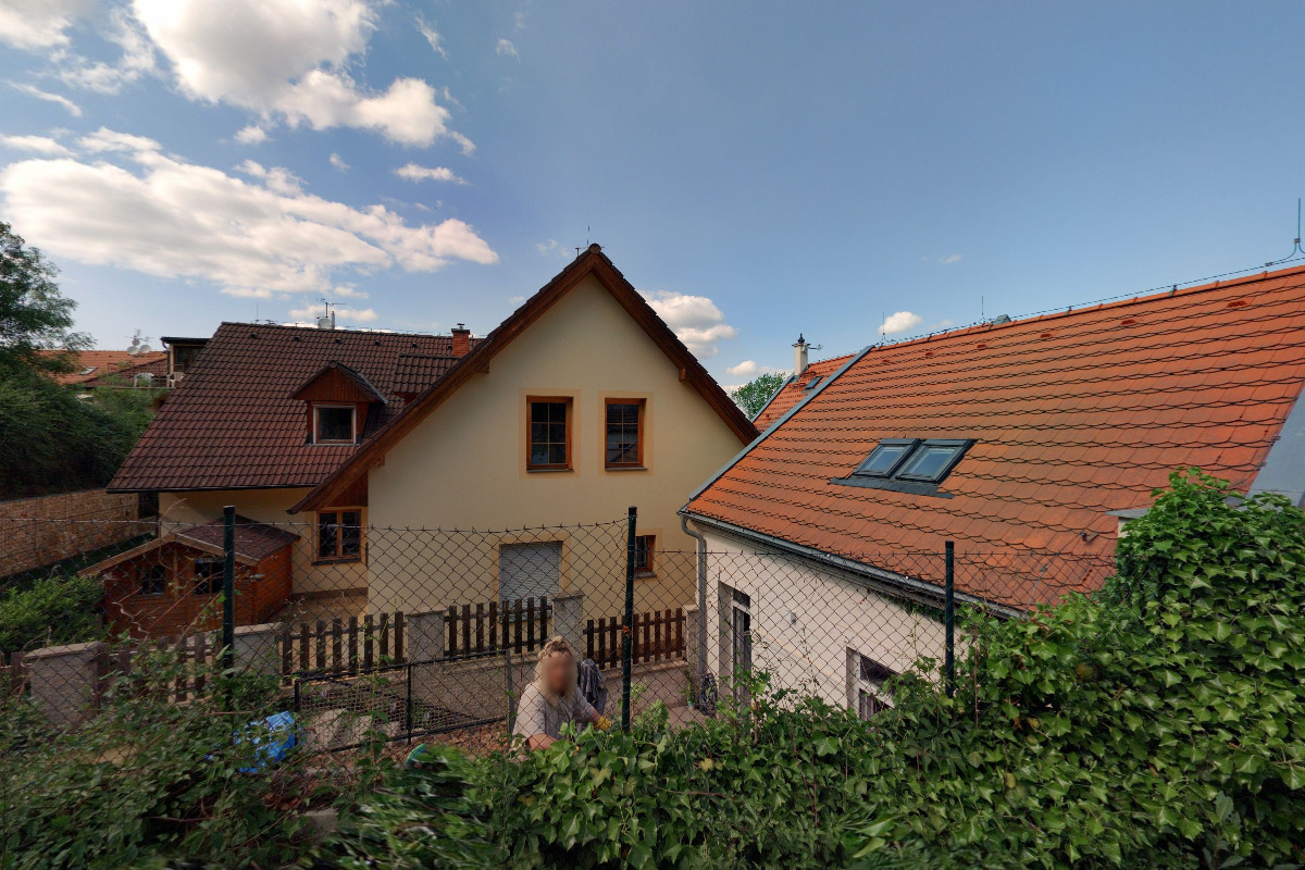 Vlasta Hrabětová - stříhání psů foto 1