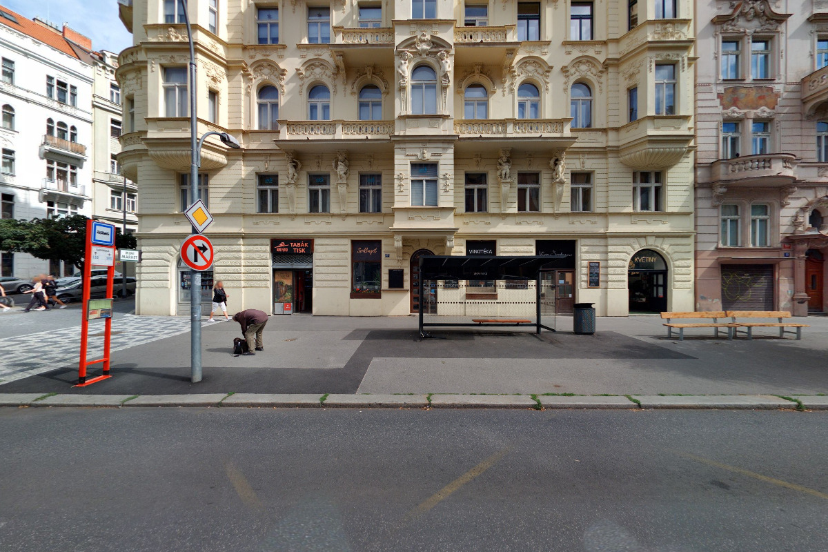 Monika Plachá foto 2