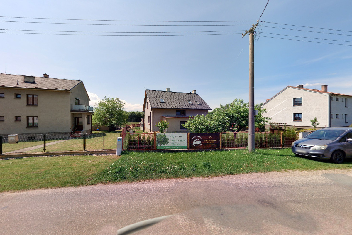 Koruny stromů foto 2
