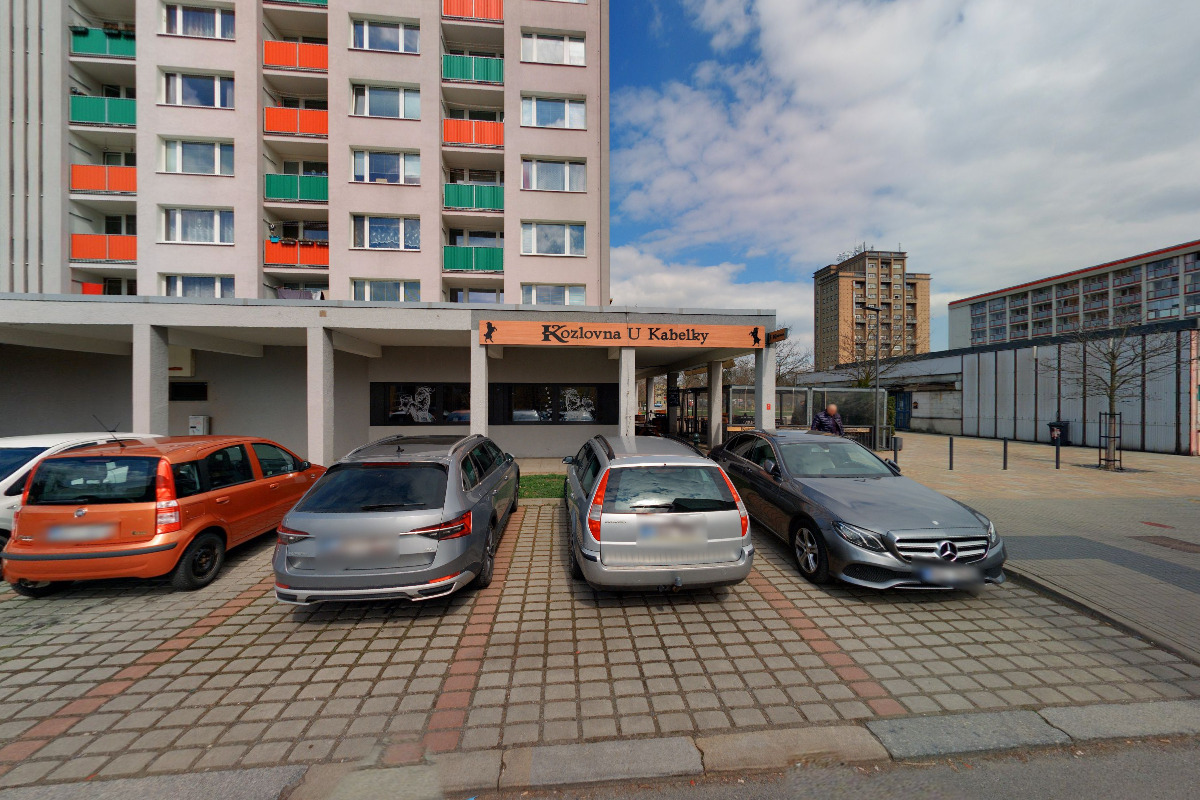 KVĚTINY ALBRECHTOVÁ foto 5