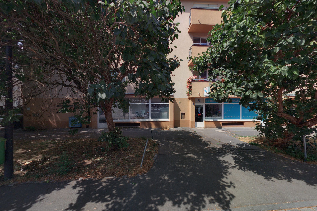 Stomatologická ordinace Doktor OLS foto 2