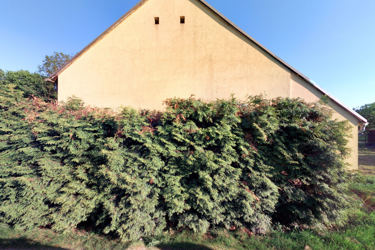 A - Zdravá výživa foto 3