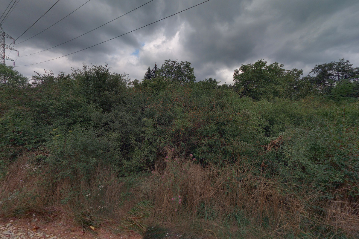 Lesní klub Medlánka