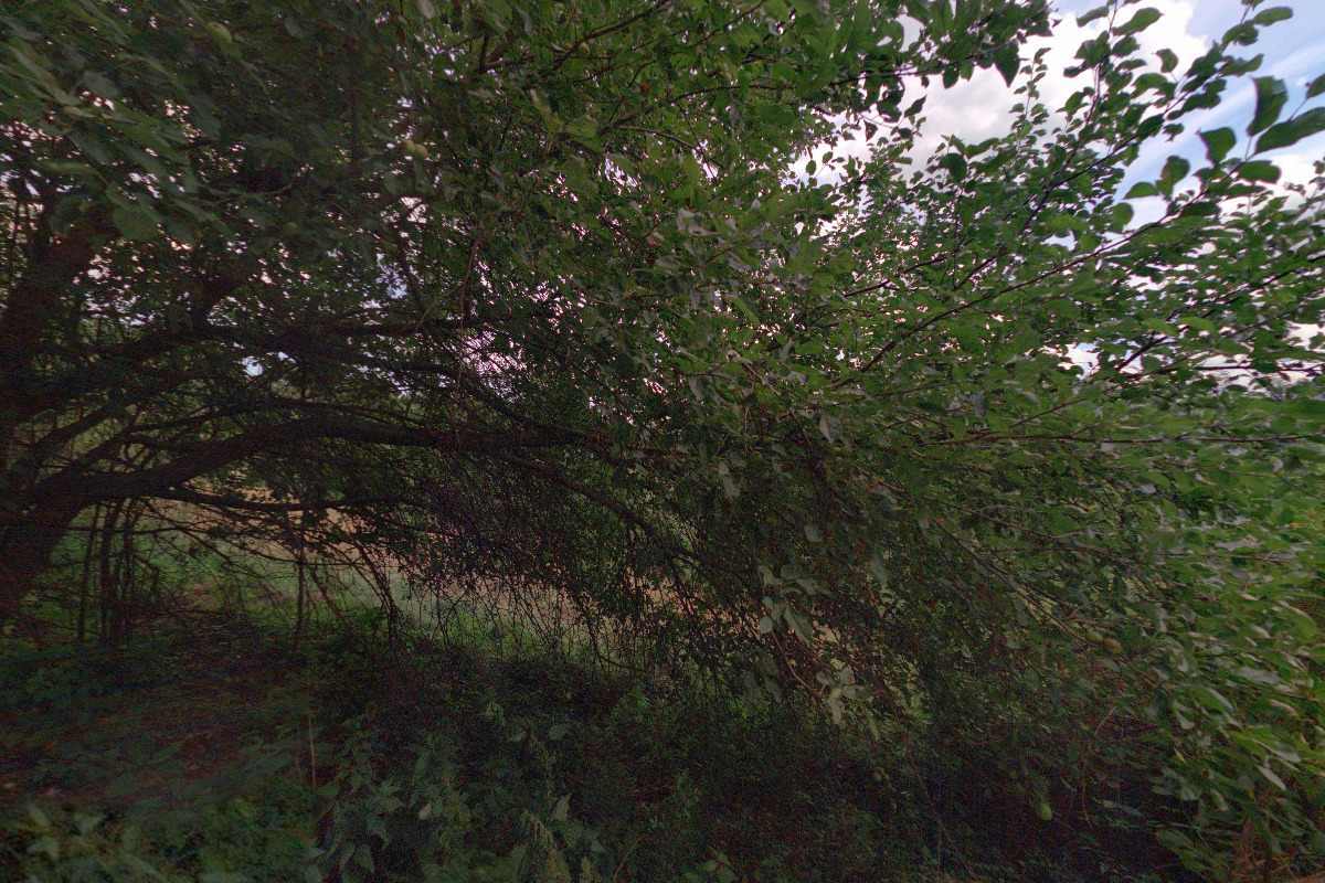 Pavel Šťastný foto 1