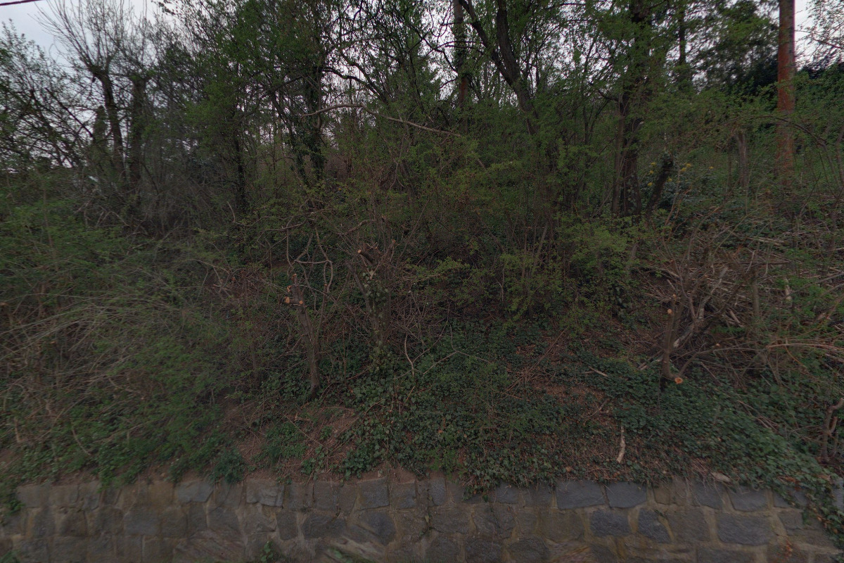 Celebrity Management