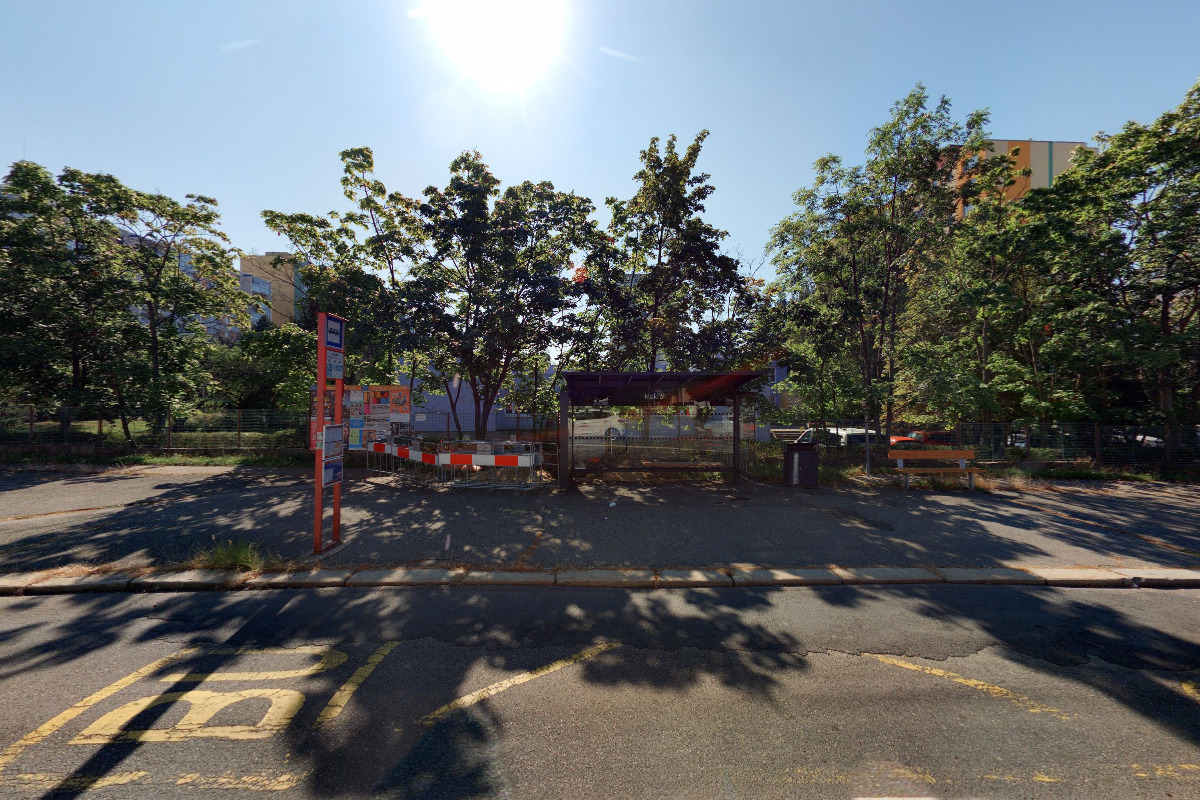 Mimiplavání Jana Vydrová foto 2