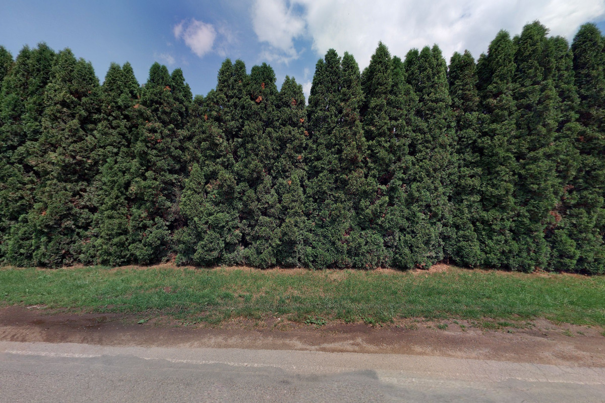 Město Adamov - Tenis