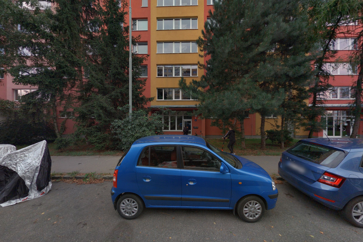 Verner Martin - malíři pokojů