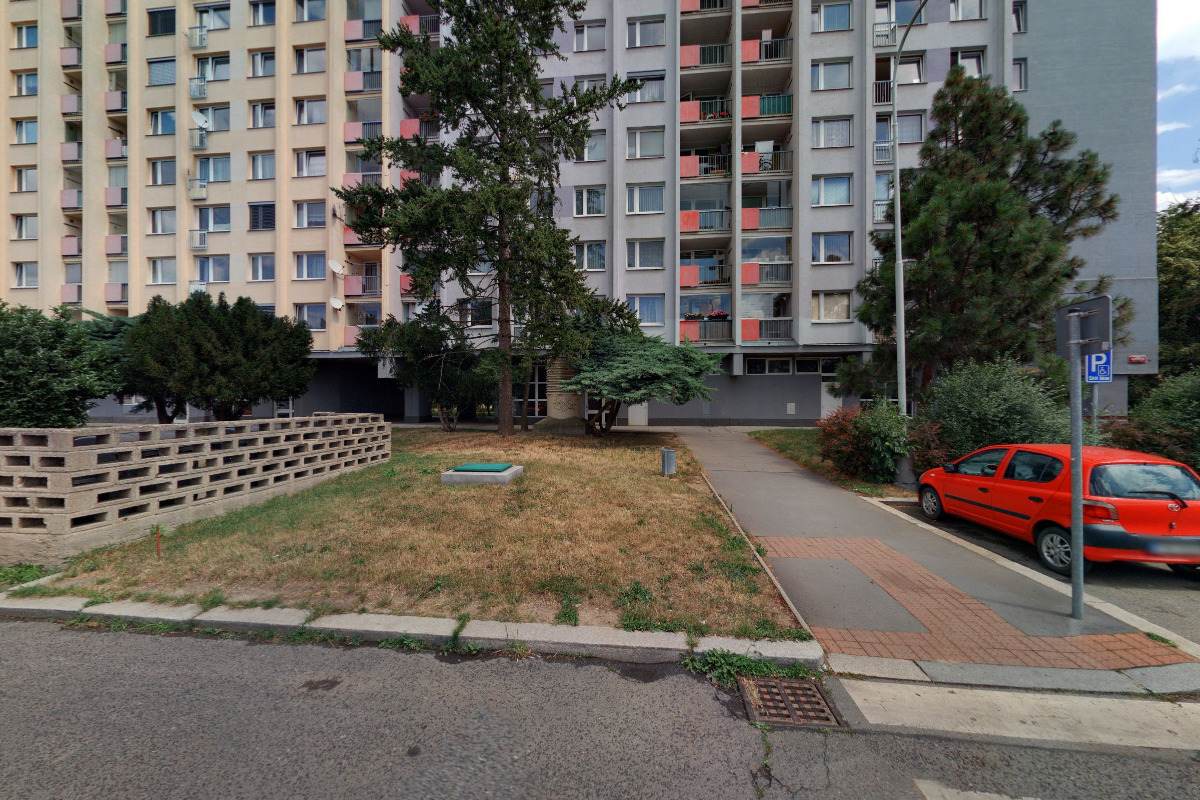 Šárka Valešková - zrozeni v lásce