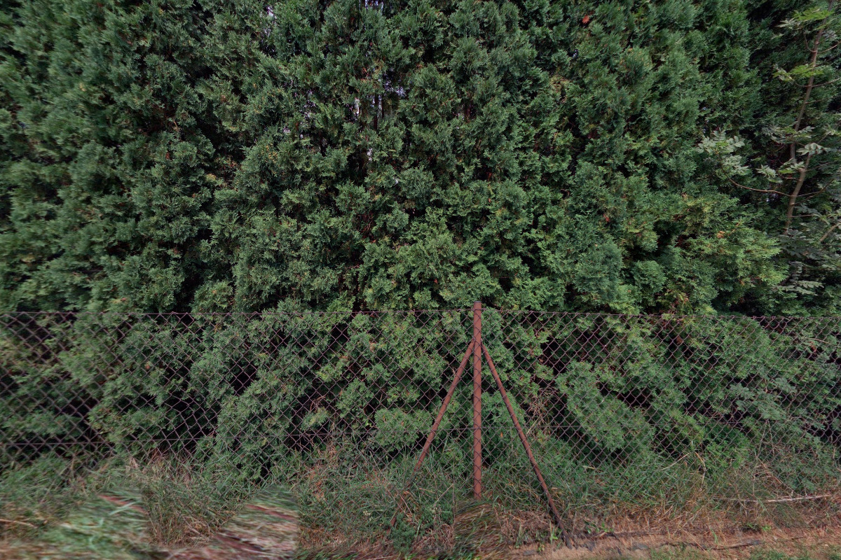 Nina Vrbovcová, CSc.