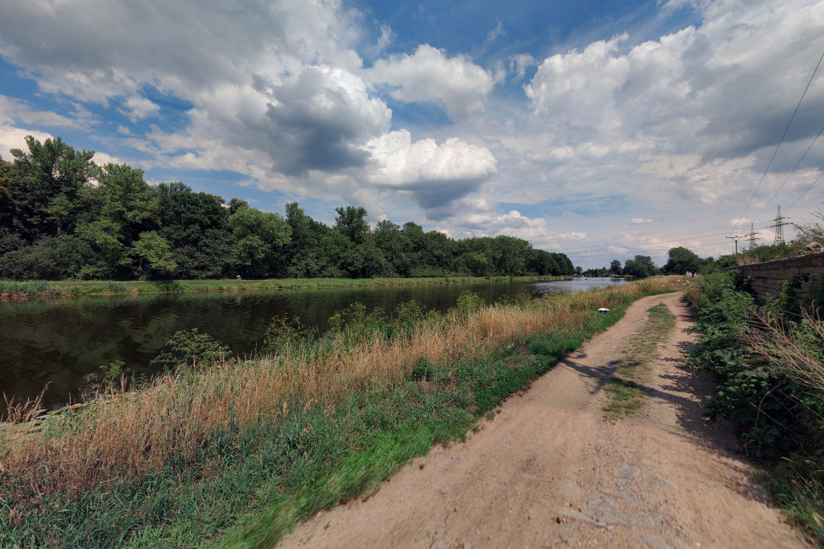 Psí škola D&D foto 2