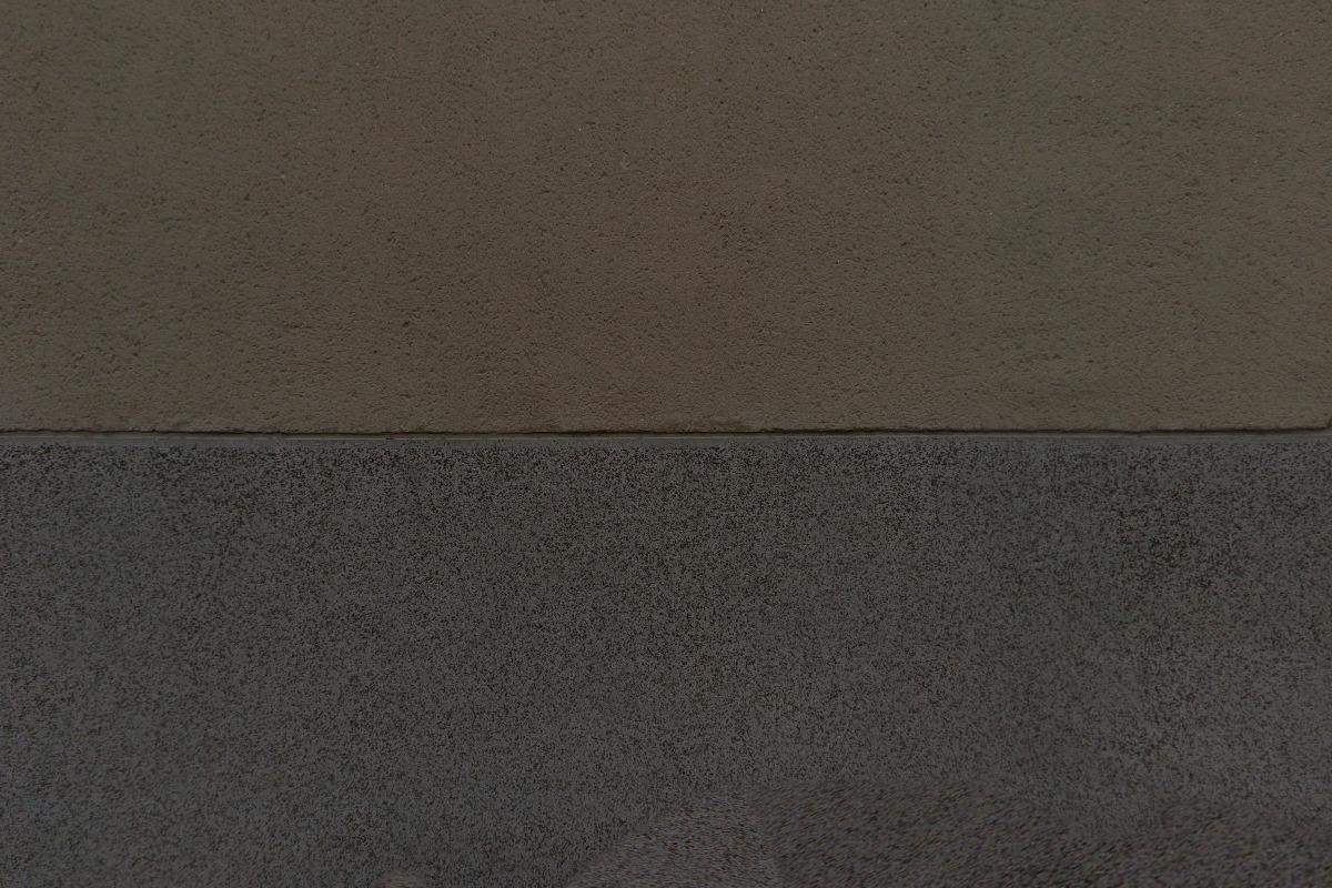 Umělecká agentura Art Petra