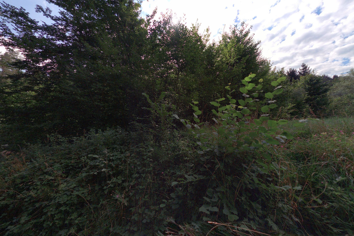 Průvodcovské služby Ing. Klára Jungová