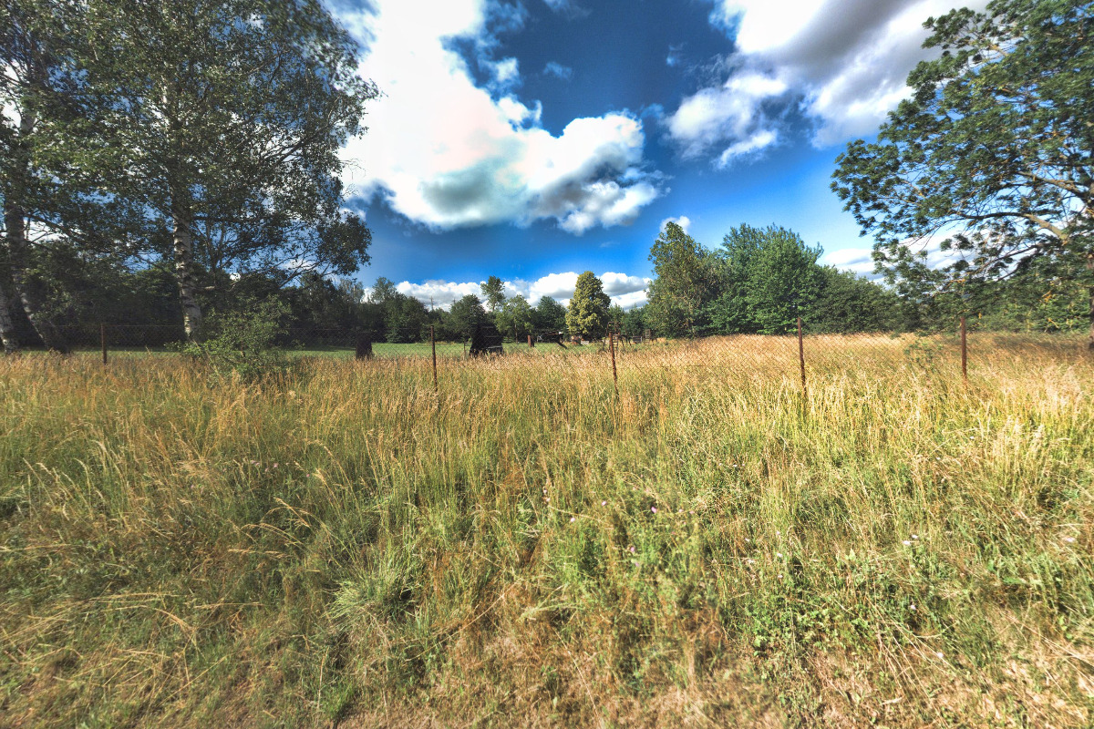 Český kynologický svaz ZKO Beroun - 260 foto 2