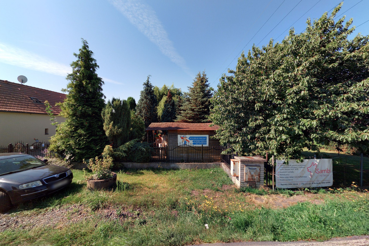 Psí školka, škola SAMBI foto 5