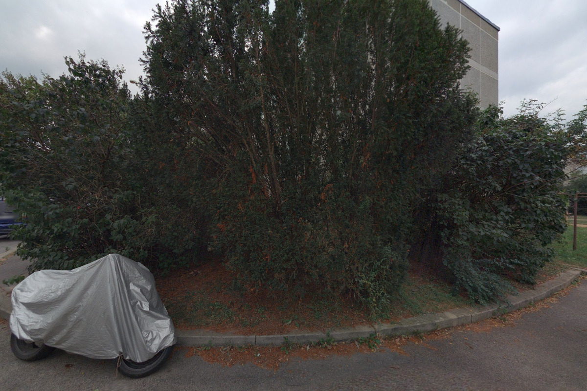 Mgr. Tereza Vernerová