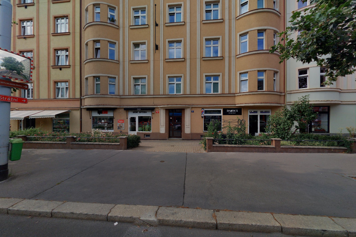 Společnost Jana Kubelíka