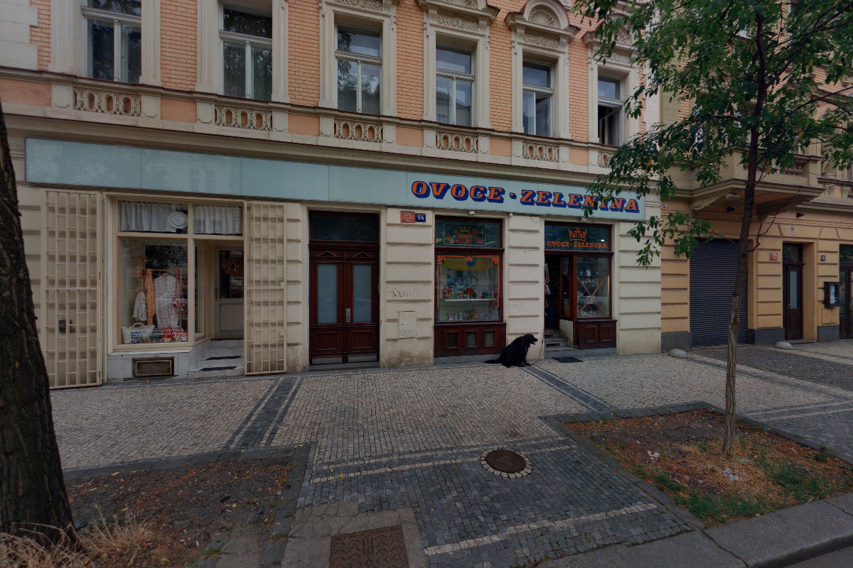 Český národní komitét elektrického tepla