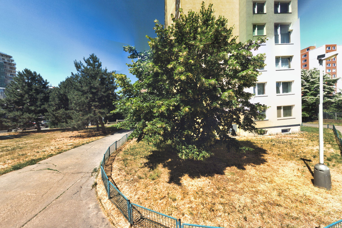 Kondor - skupina Úsvit