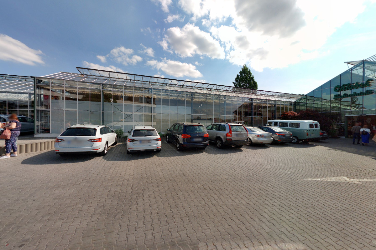 Květiny Chládek online foto 5