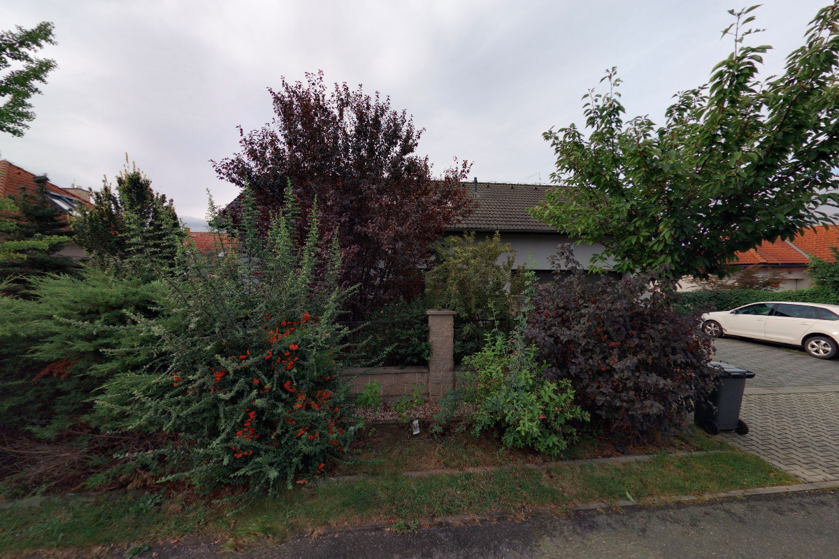 Pop-Rocková skupina Čedič foto 1