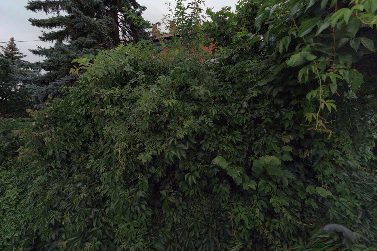 Základní škola a mateřská škola Easyspeak