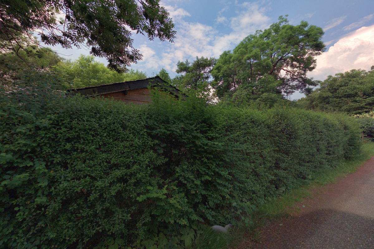 Junák - český skaut, středisko Lesní Moudrost Dobřichovice