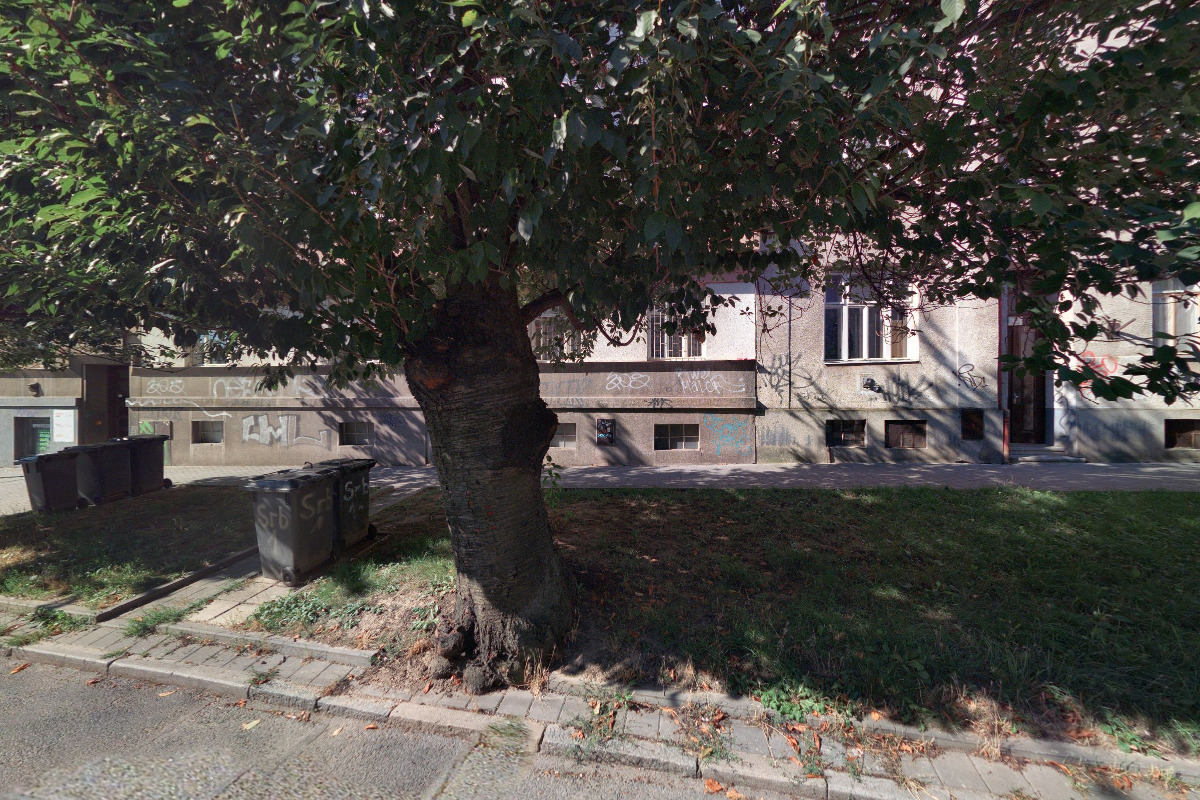 JUDr. Viera Štichová foto 1