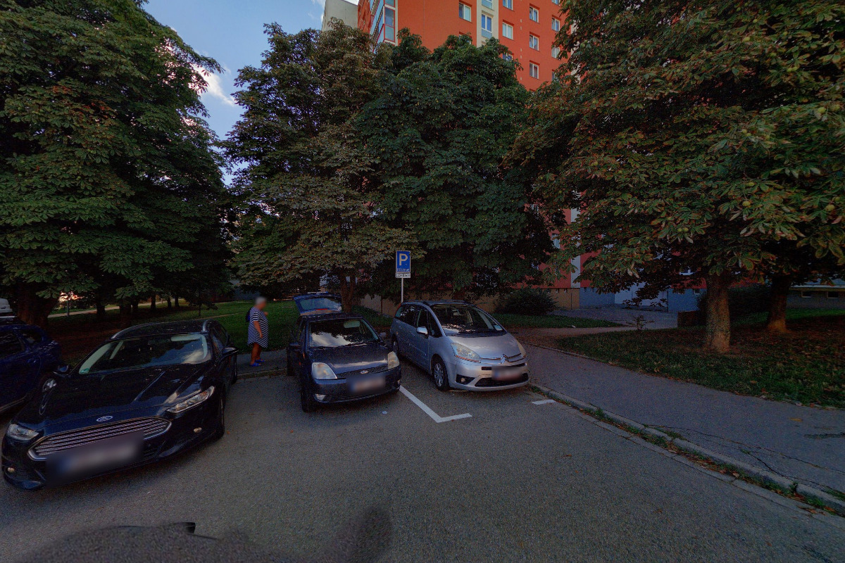 Nadační fond psí duše