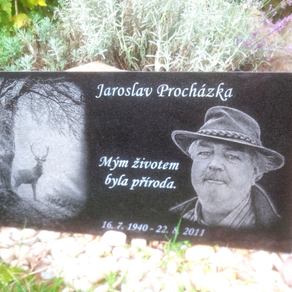Graveria foto 5