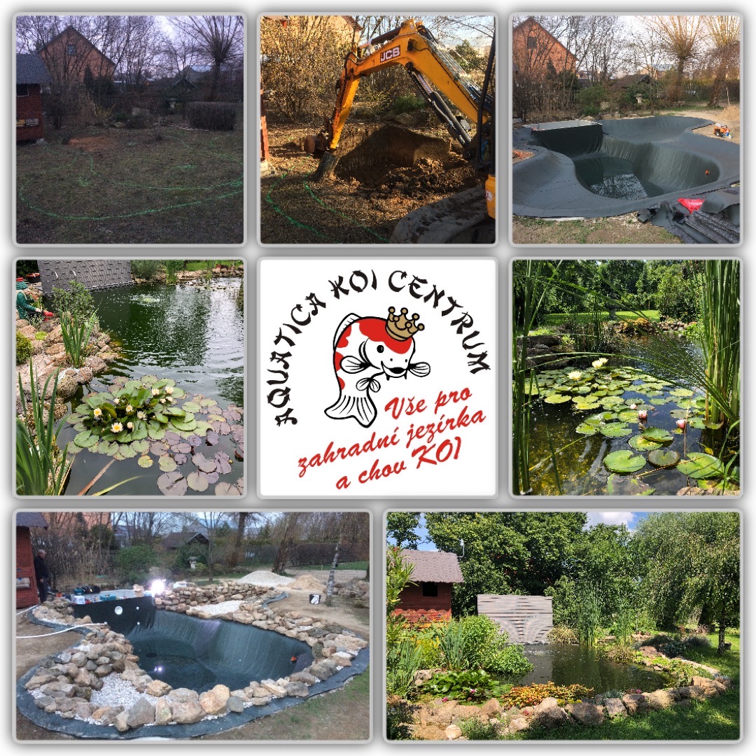 AQUATICA KOI CENTRUM foto 6