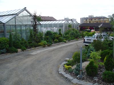 Zahradnictví Papež foto 3