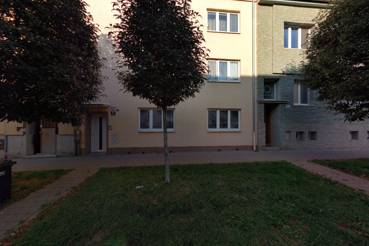 Charitativní kočičí spolek Kryšpín