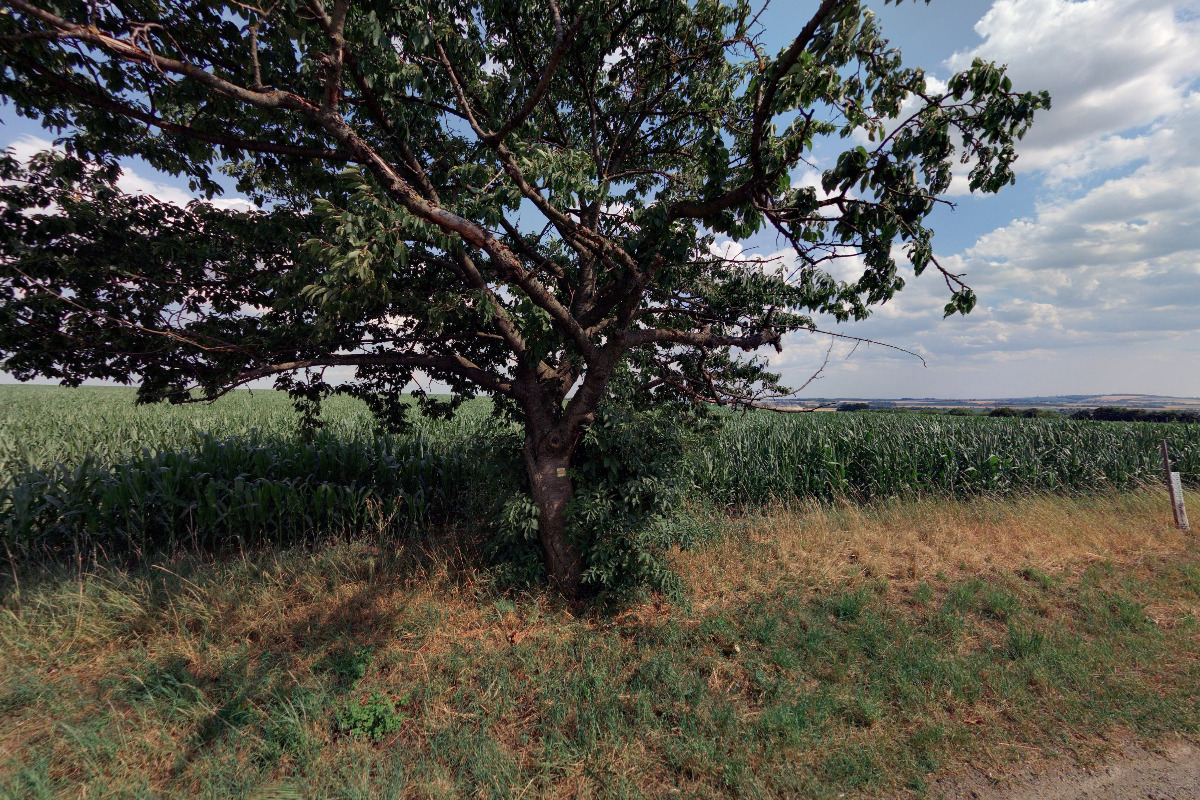 Projekt Austerlitz - AusterlitzPro s.r.o.