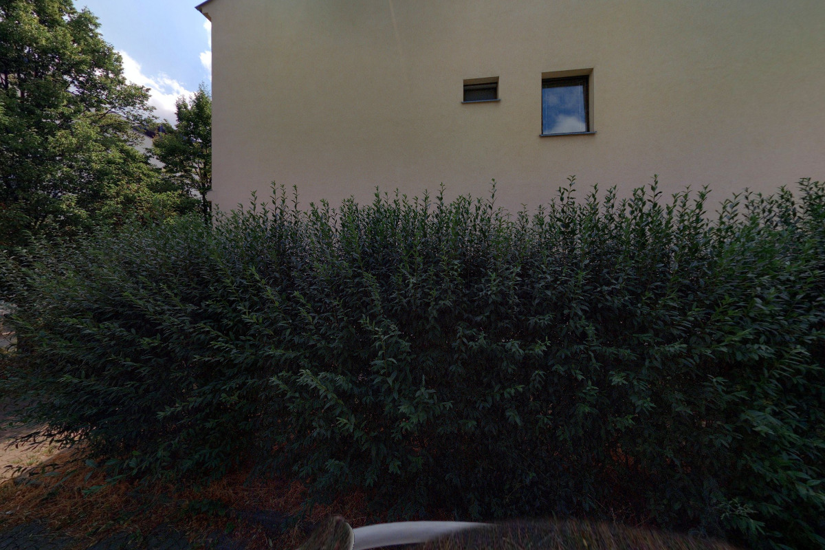 Kvítí trochu jinak