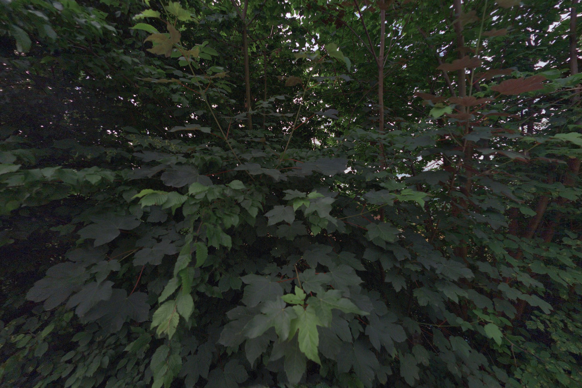 Sázava - tour - půjčovna lodí foto 5